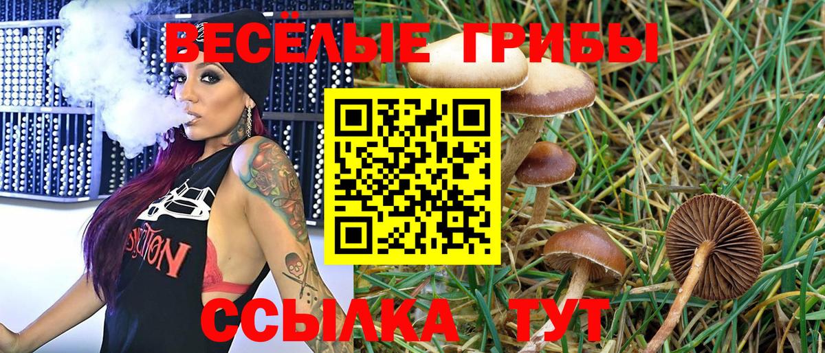 Галлюциногенные грибы GOLDEN TEACHER Кинель