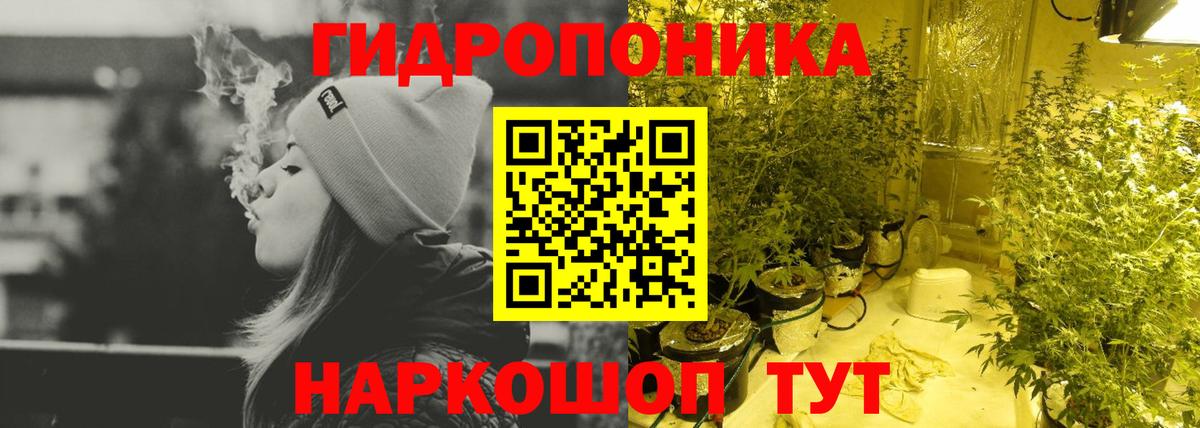 Бошки марихуана Amnesia Кинель